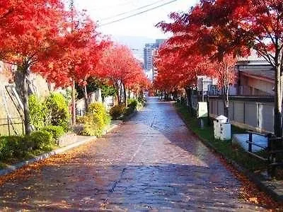 Hotel Hakodateyama